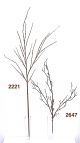 Willow, Tall Multi Branch - 2221