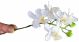Phalaenopsis Mini Real Touch Spray - 2295n