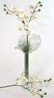 Phalaenopsis Mini Flower Spray x 11 - 2297