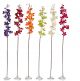 Vanda Orchid Spray x 13 real touch flowers - 2357