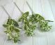 Euphorbia Leaf Sprays w- buds (Bundle of 3) 