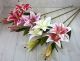 Casablanca Tiger Lily with 2 Large Flowers - 2602-2
