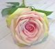 Real Touch, Large Cupped Cabbage Rose 2636