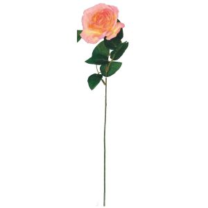 Rose Bloom Budget Bloom - 2440
